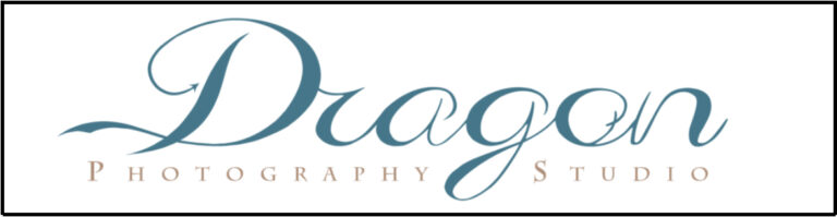Dragon Studio